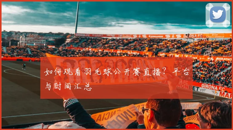 如何观看羽毛球公开赛直播？平台与时间汇总