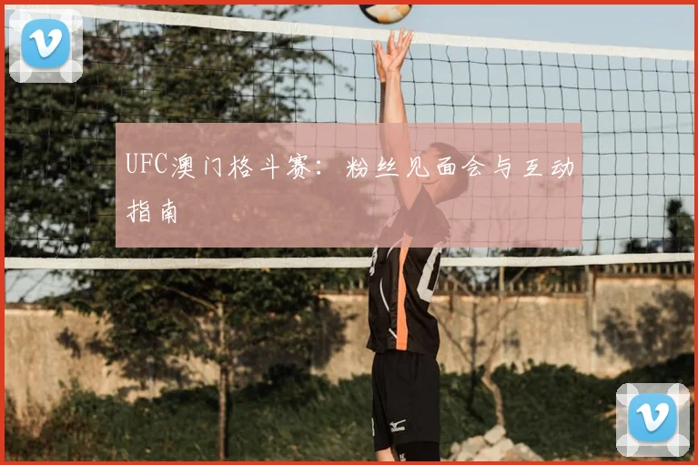 UFC澳门格斗赛：粉丝见面会与互动指南