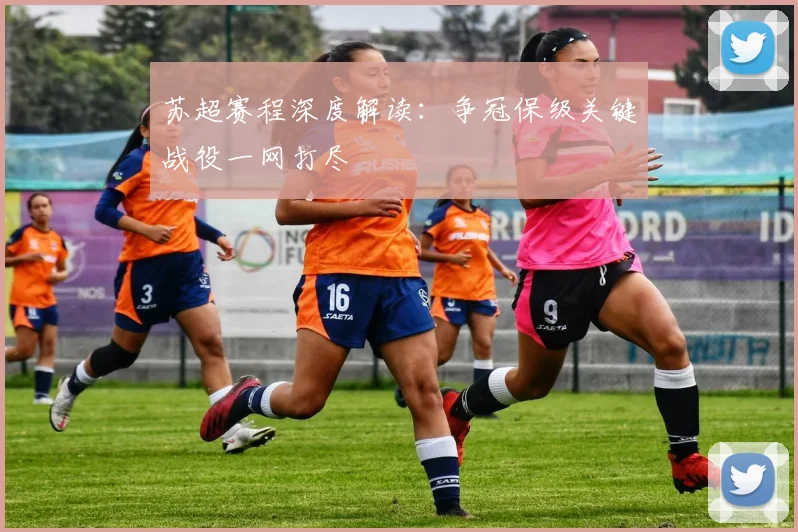苏超赛程深度解读：争冠保级关键战役一网打尽