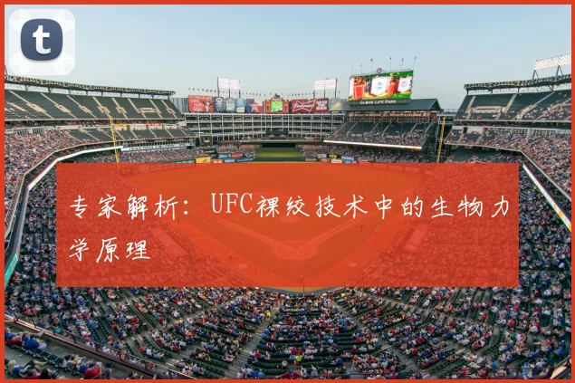 专家解析：UFC裸绞技术中的生物力学原理
