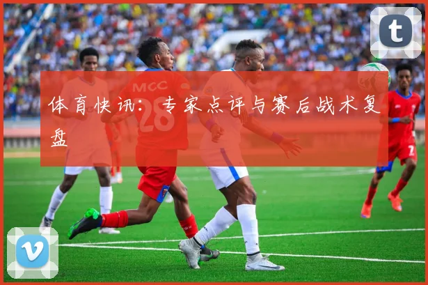 体育快讯：专家点评与赛后战术复盘