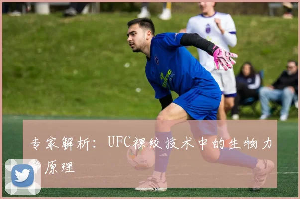 专家解析：UFC裸绞技术中的生物力学原理