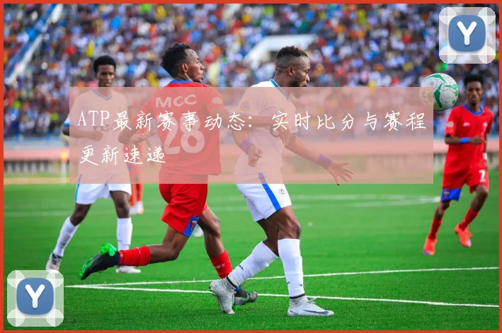 ATP最新赛事动态：实时比分与赛程更新速递