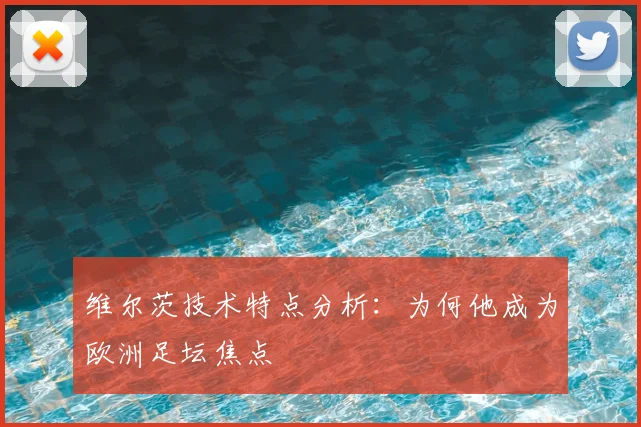 维尔茨技术特点分析：为何他成为欧洲足坛焦点