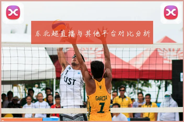 东北超直播与其他平台对比分析